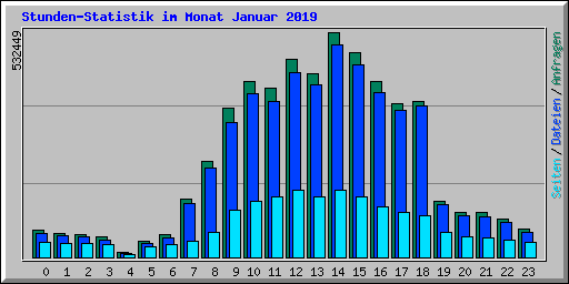 Stunden-Statistik im Monat Januar 2019