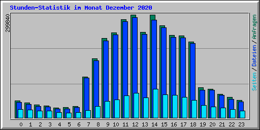 Stunden-Statistik im Monat Dezember 2020
