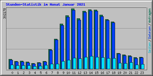 Stunden-Statistik im Monat Januar 2021