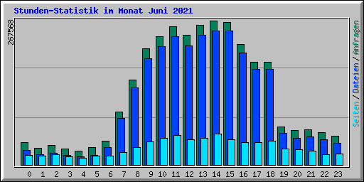Stunden-Statistik im Monat Juni 2021